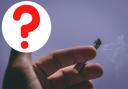A call has been made for smoking to be banned in Welsh beed gardens. Image: Canva