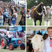IN PICTURES: The Denbigh and Flint show