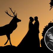 A wedding photo by Andrew Baines (inset) sees him up for top award.