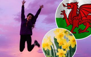 Should workers in Wales be given a day off on St David's Day?