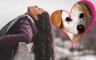 Research by Jollyes says women will ditch their partner before their pet.