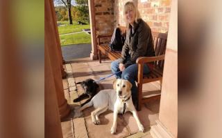 Wendy with gorgeous Guide Dog pups Dusty and Maryann