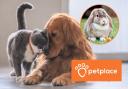 A photo of your pet could win you £100 to spend in Petplace.