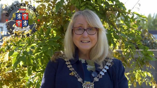 Cllr Teresa Carberry, Mayor of Mold, 2020-2021.