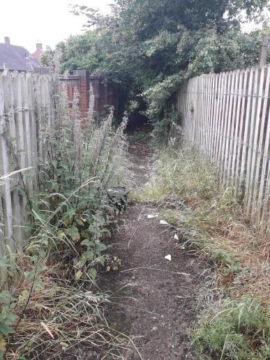Before: The communal alleyway, located behind First Avenue and Heol Hyfryd. 