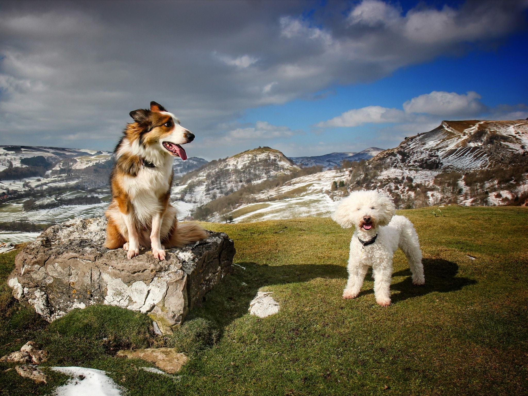 Sean Thompson captures a stunning view of Chase and Buddy at the Llangollen Panorama.