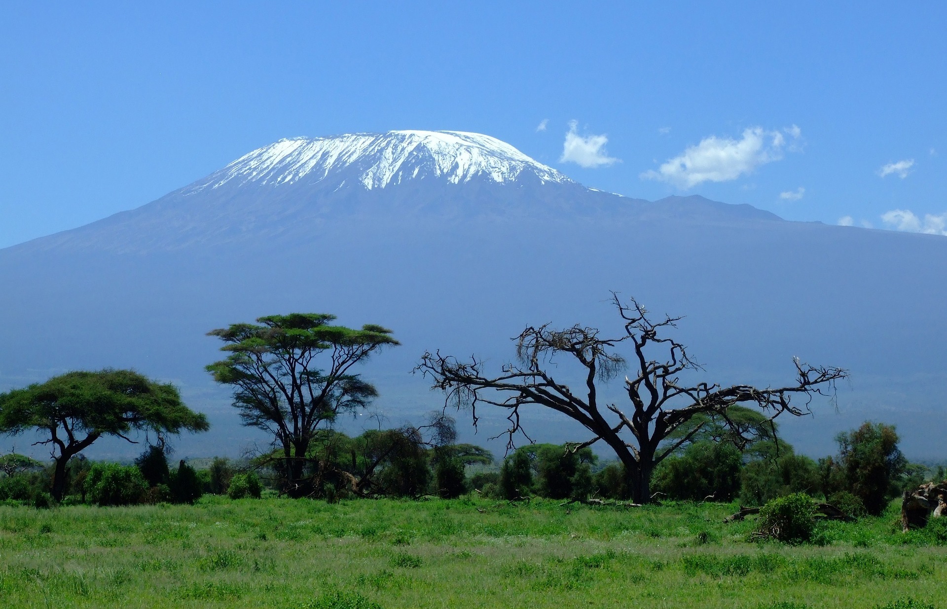 Mount Kilimanjaro, Africass highest mountain..