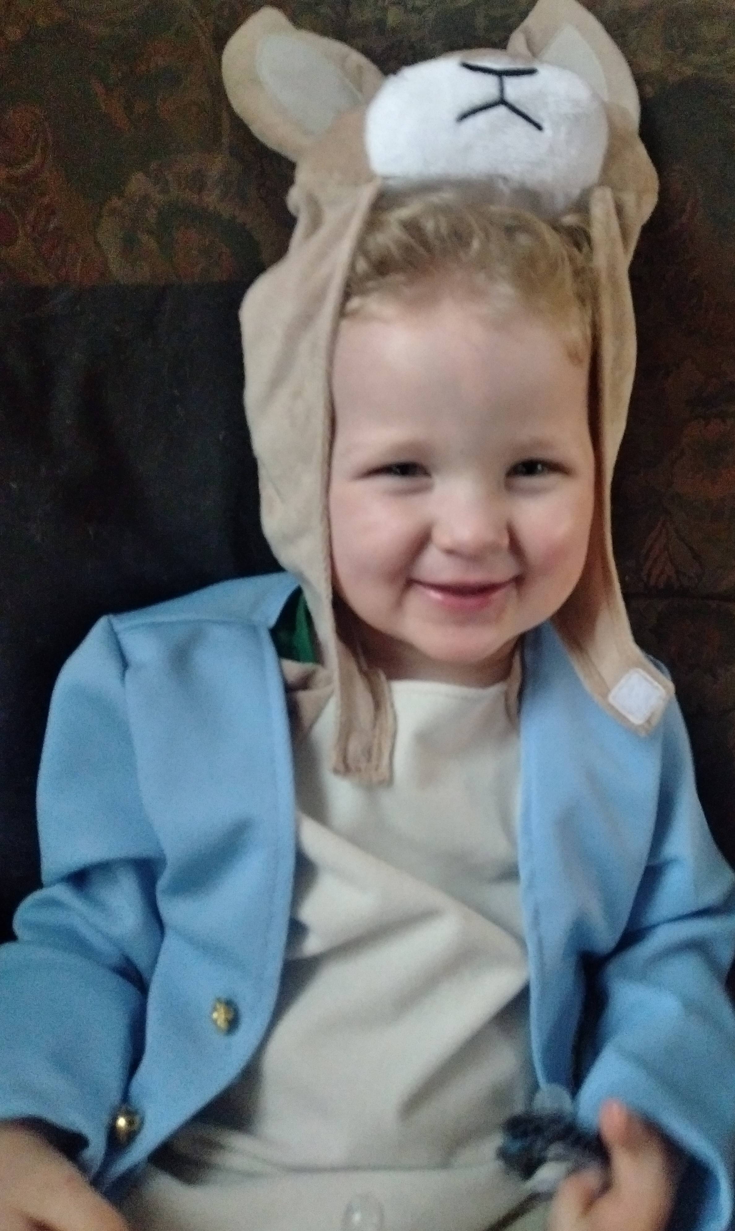 Rhys dressed up as Peter Rabbit.