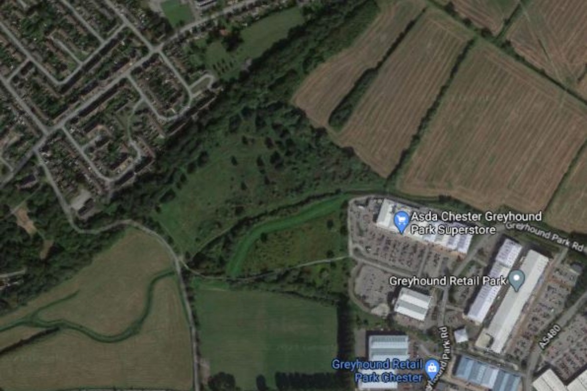 Satellite image of the Greyhound Retail Park and Blacon. Witnesses say a big black cat was seen in the fields between the shopping park and estate. Image: Google