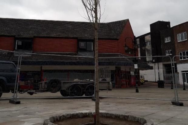 The special tree that has been planted in Queen’s Square. (Source Wrexham Council)