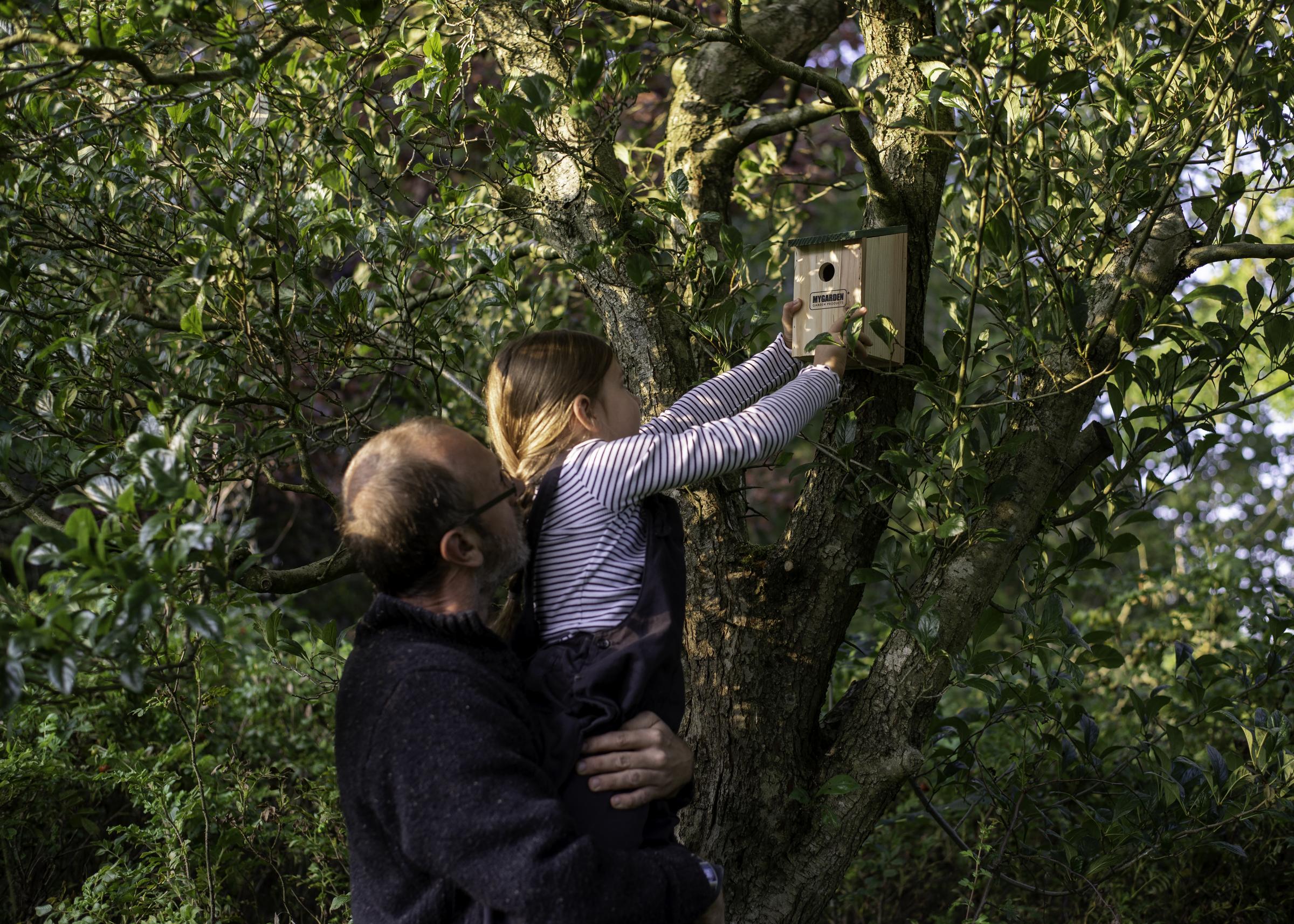Putting up a bird box (c) Evie and Tom Photography / 2020 Vision. 