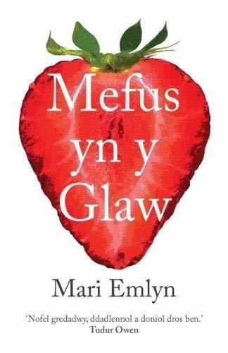 Mefus yn y Glaw by Mari Emlyn