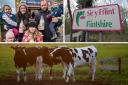 A Flintshire dairy farm continues to battle the local council over a planning row.
