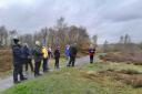 A wellbeing walk, part of the Woodland Wellbeing project.
