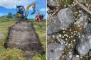 Scraping surface vegetation on Halkyn Mountain, with hopes to re-establish calaminarian (right). Images: Natural Resources Wales