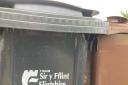 Flintshire Council bins