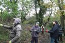 Wild Ground volunteers at Broadoak Woods.