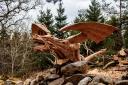 Undated handout photo of the giant dragon carved by sculptor Simon O'Rourke from a fallen tree on the A5 near Tregarth