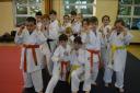 Photos provided by Seishin Ryu Ju Jitsu club