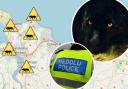 A sighting of a 'back panther' in Conwy was reported to police.