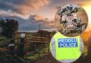 Police issue advise for farmers and quad bike owners following recent thefts