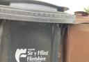 Flintshire Council bins