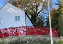 Mold WI's stunning poppy display at Bailey Hill last year.
