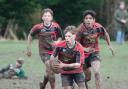 Mold junior rugby