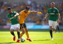 Brighton & Hove Albion's Beram Kayal (left) and Wolverhampton Wanderers' Raul Jimenez battle for the ball during the Premier League match at Molineux, Wolverhampton. PRESS ASSOCIATION Photo. Picture date: Saturday April 20, 2019. See PA story