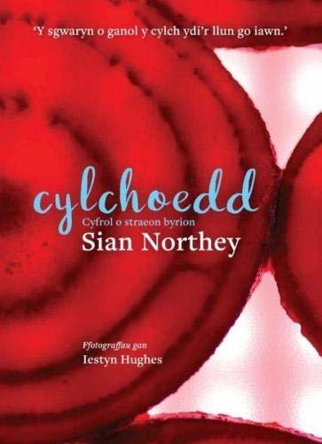 Cylchoedd; Cyfrol o Straeon Byrion by Sian Northey