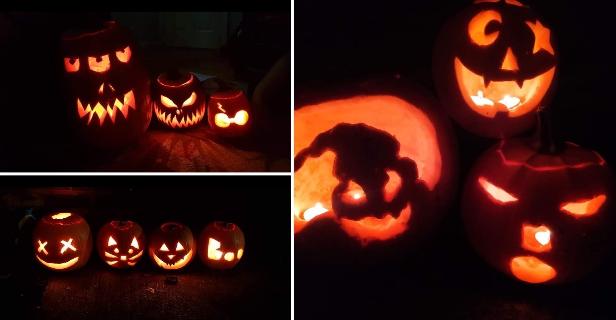 Pumpkins carved by Victoria Roberts.