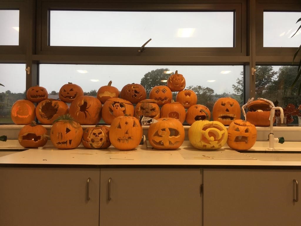 A display of the carved pumpkins at Ysgol Treffynnon.