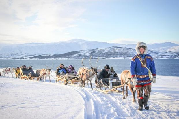 The Leader: Reindeer Sledding Experience and Sami Culture Tour from Tromso - Tromso, Norway. Credit: TripAdvisor