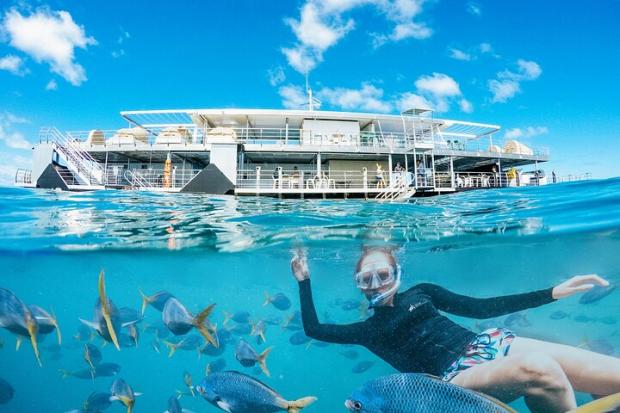 The Leader: Two-Day Great Barrier Reef "Reefsleep" Experience - Airlie Beach, Australia Credit: TripAdvisor