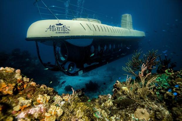 The Leader:  Atlantis Submarine Expedition in Cozumel - Cozumel, Mexico. Credit: TripAdvisor