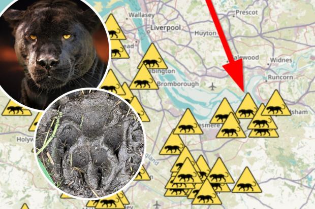 Footprints found at Ince Marshes. Images: Puma Watch North Wales