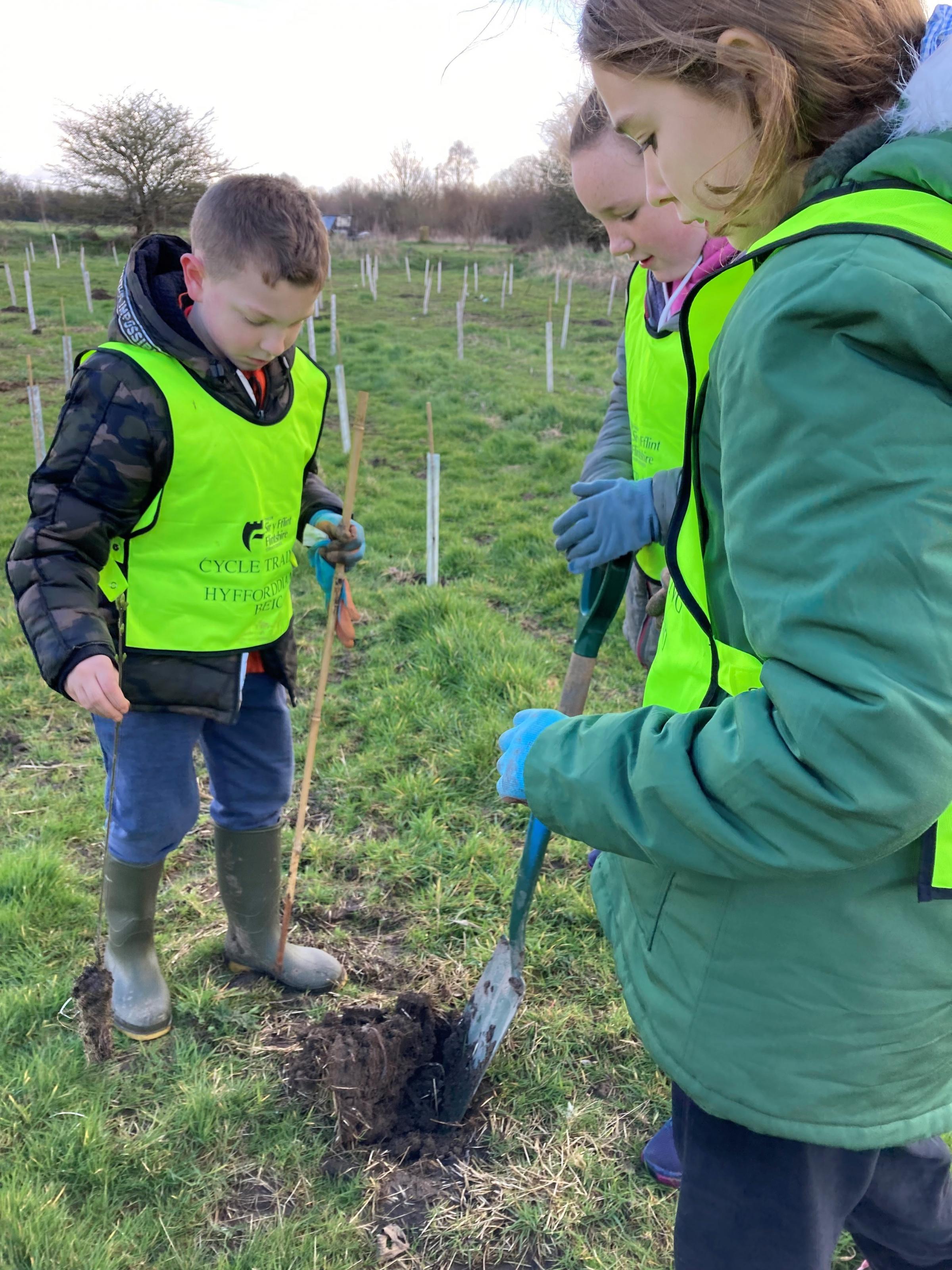 Pupils from Ysgol Ty Ffynnon helped rangers plant trees at Dee Park, in Shotton.
