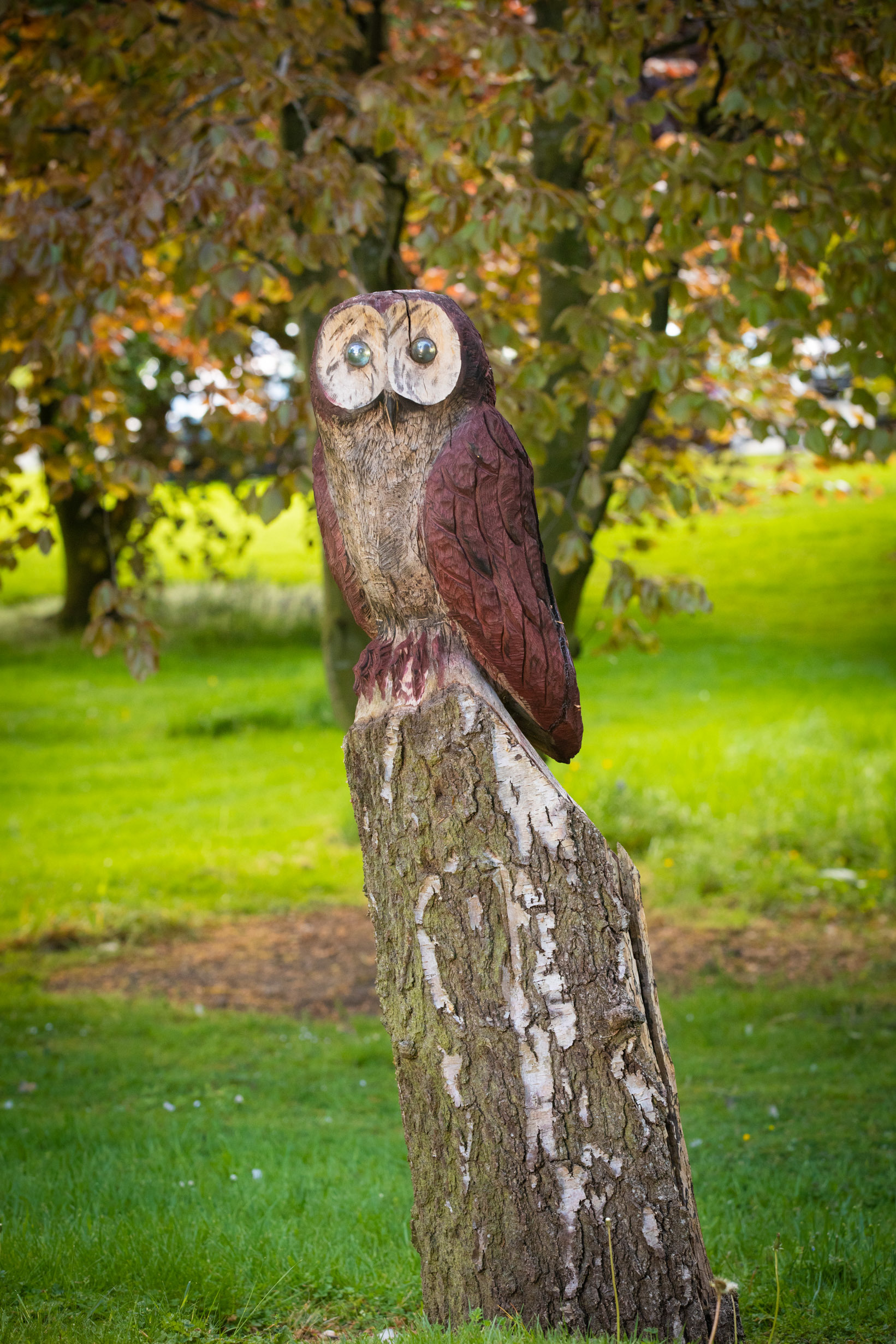 Owl sculpture by Paul Morris from the Pendine Park maintenance team. Photo: Mandy Jones