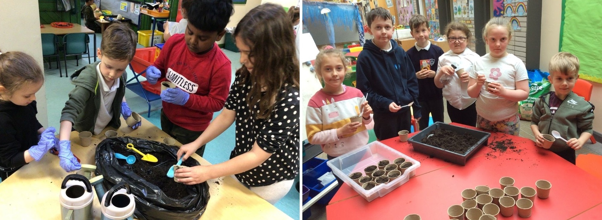 Planting sunflower seeds to sell at St Giles School, in a fundraiser for Ukraine.
