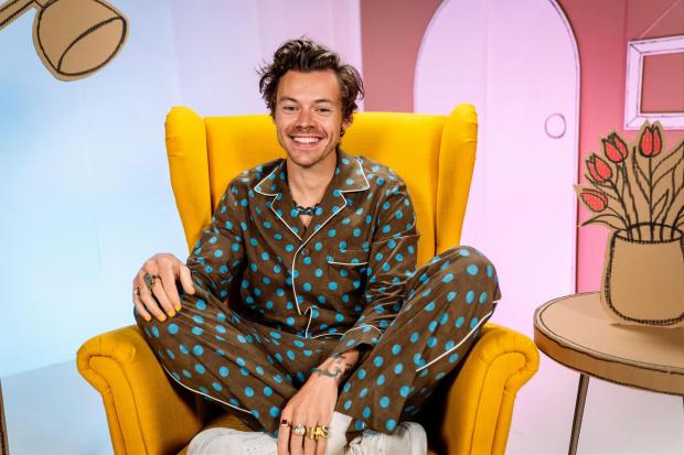 The Leader:  Harry Styles, 28, who will read Jess Hitchman's In Every House, On Every Street, which is illustrated by Lili la Baleine, on Monday evening. Credit: BBC/ PA