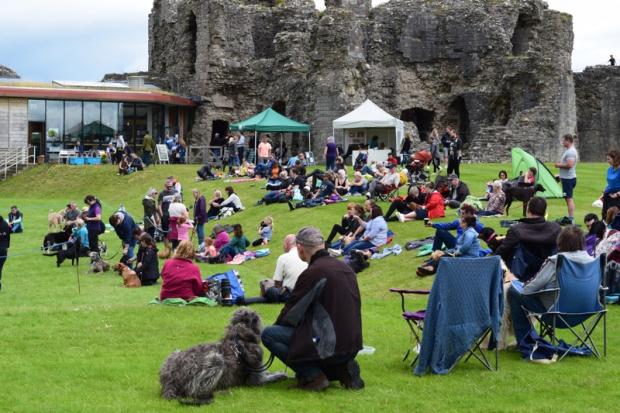 Denbigh Castle Dog Fair