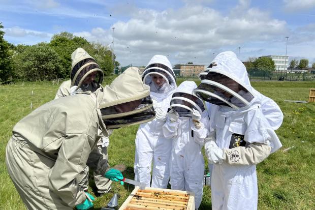 Eco-Taskforce members working with bee hives at Ysgol Clywedog.