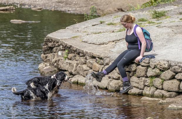 The Leader: Gulping down too much water can be dangerous - keep an eye on dogs if playing water and move on when they’ve had their fill. Picture: PA