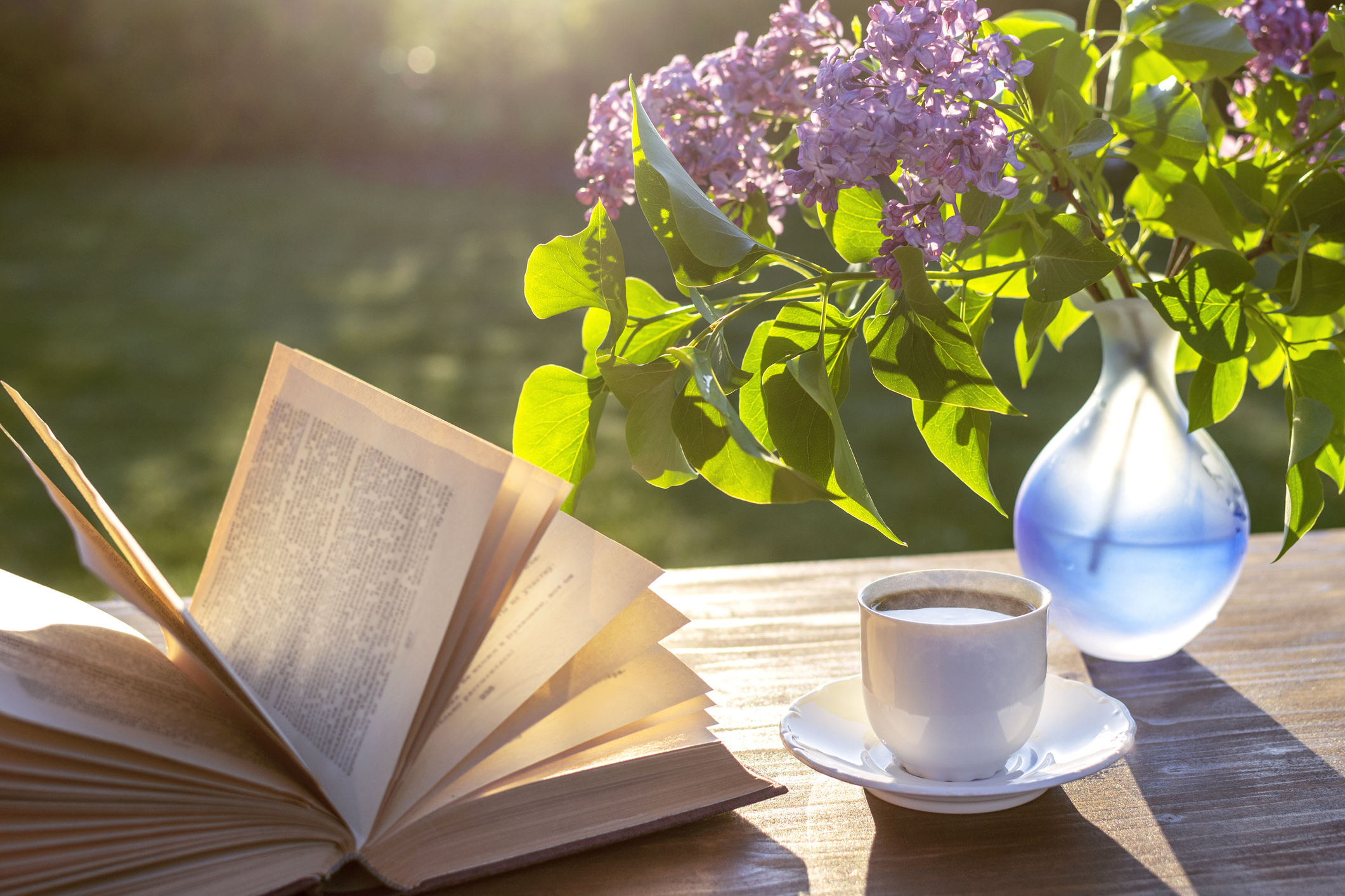 Aura Libraries: Books and Author of the Month for August - Vimarsana News