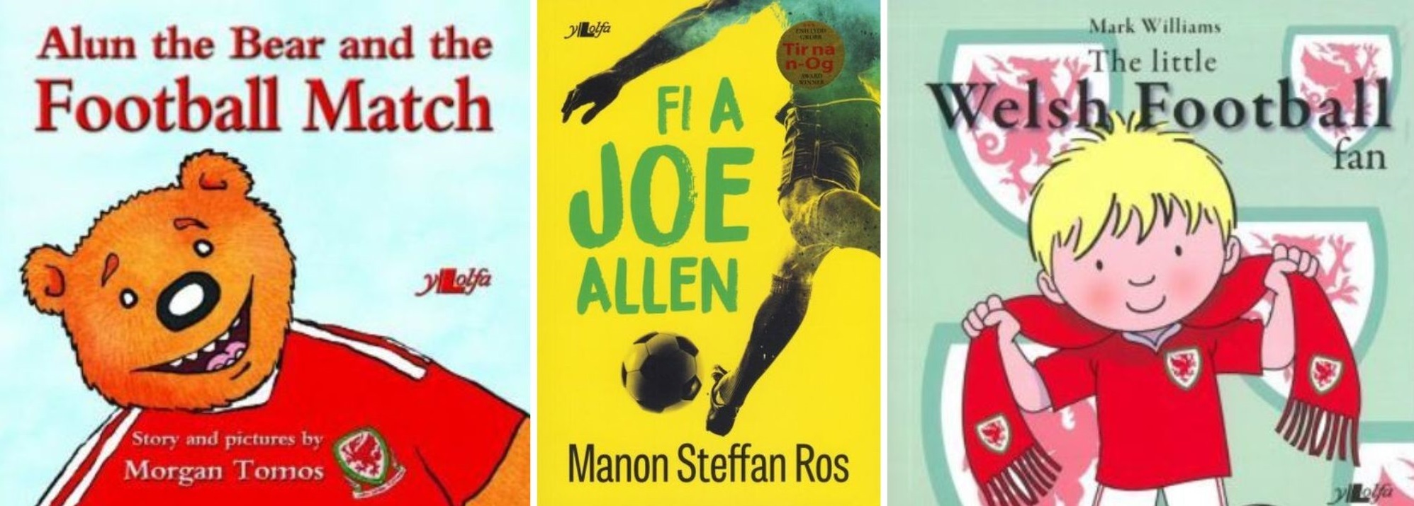 Book for younger readers enjoying the World Cup.