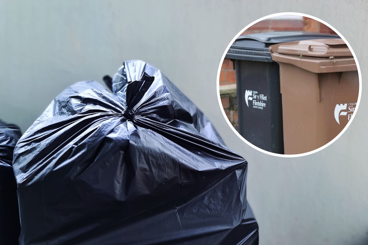 Readers have their say on possible Flintshire bin changes - Vimarsana News