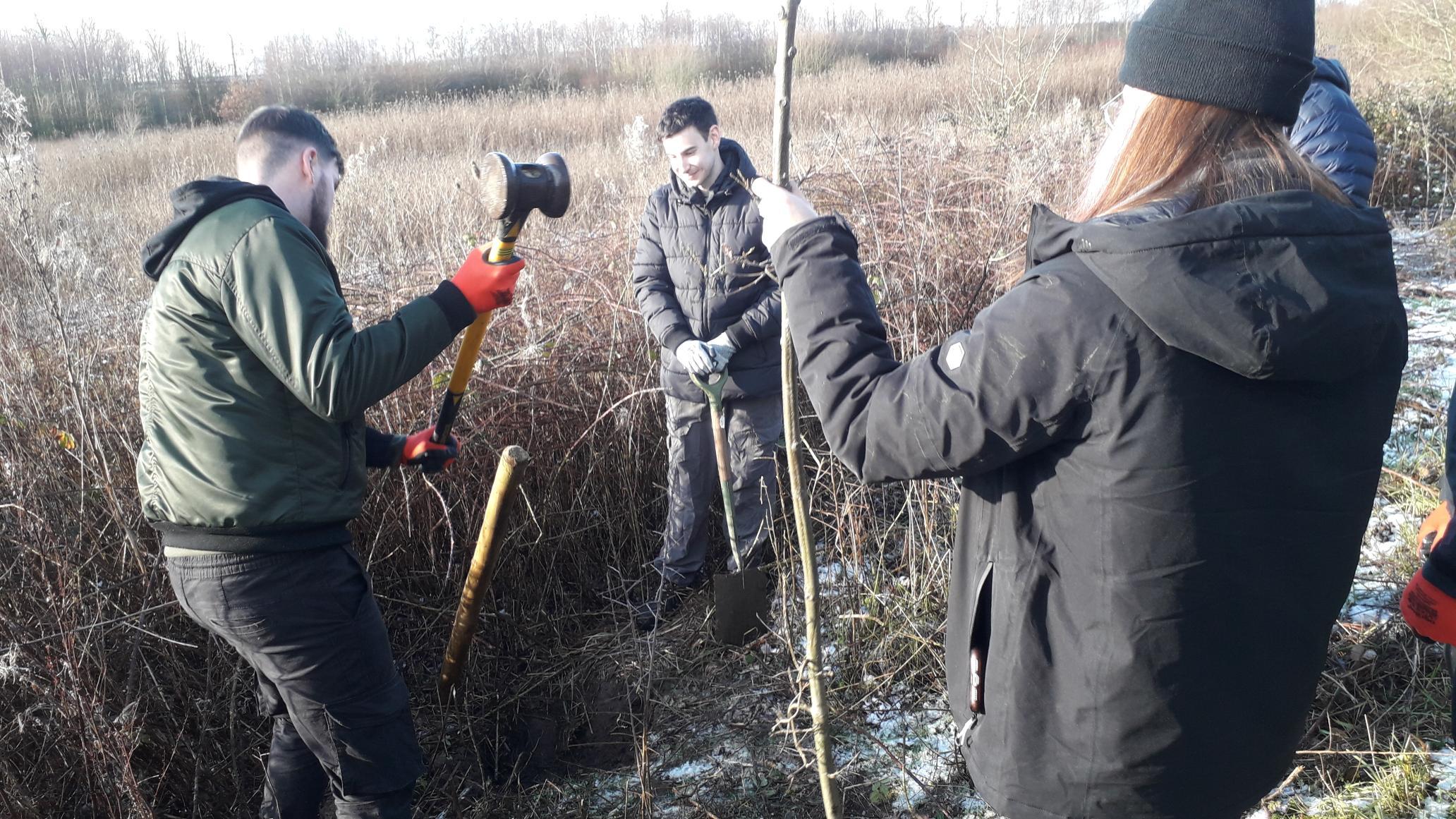 Povair Sciences staff planting trees at Wild Grounds Broughton nature reserve.