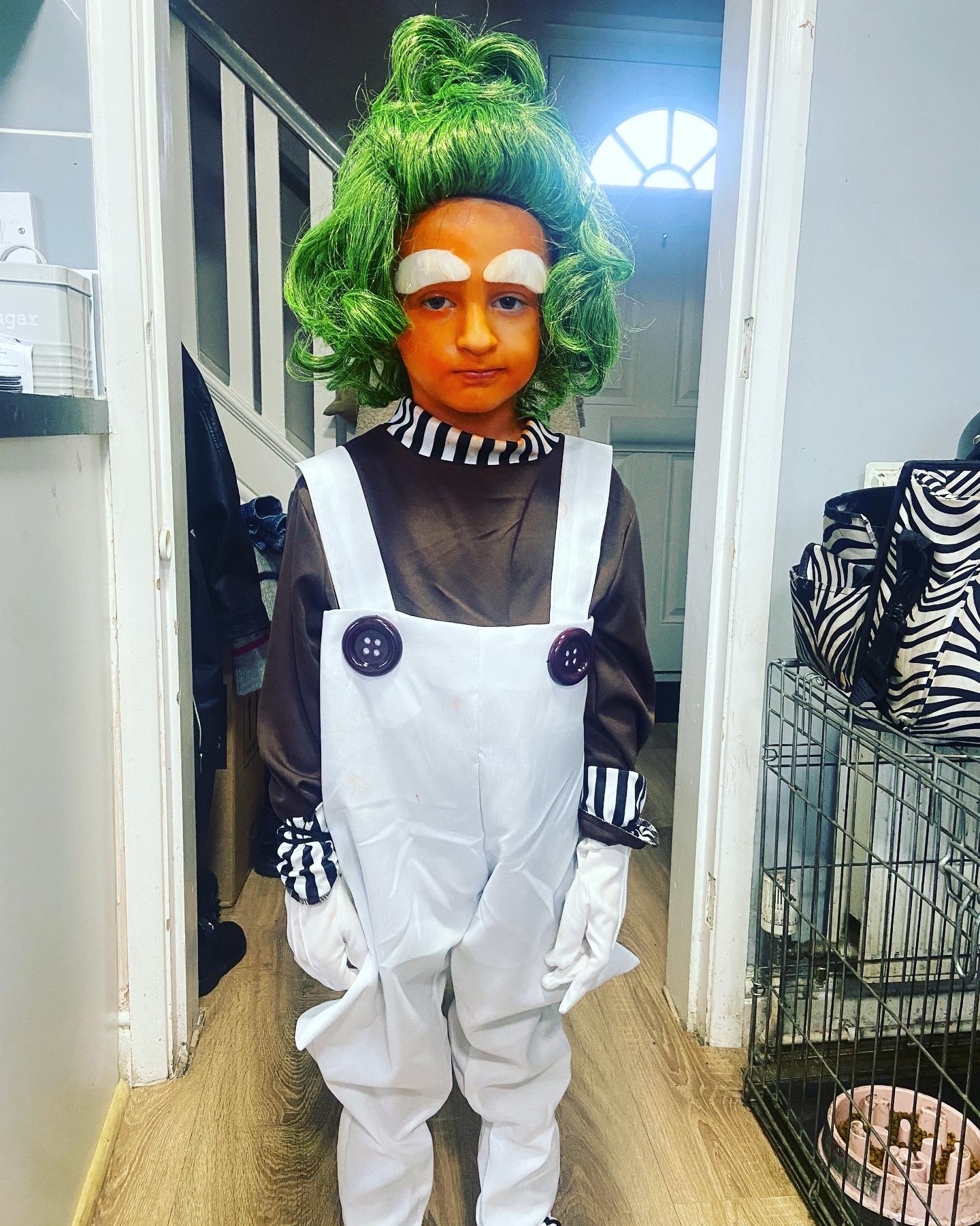 Shared by Amy Gill: Freddie, at St David’s Catholic Primary School, Mold. He’s severely epileptic and managed to have a good day to take part in World Book Day dressed as an Oompa Loompa Charlie and the Chocolate Factory.