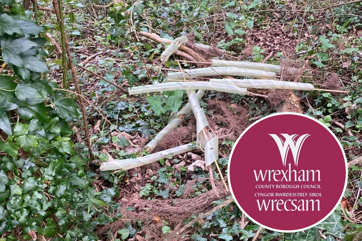 Wrexham: 200 newly planted trees destroyed in "disgraceful" vandalism - Vimarsana News