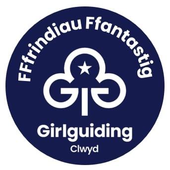Frindiau Ffantastig Challenge pin badge.